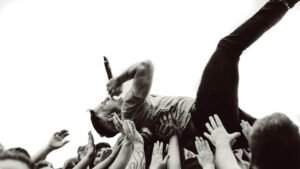 Genre Breakdown — Where Male Fans Come From
