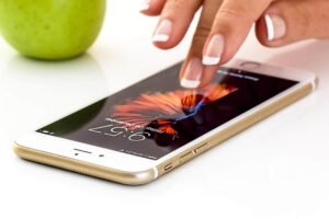 Does In-N-Out Take Apple Pay? Complete Payment Guide for 2026